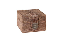 Load image into Gallery viewer, Hector chocolate croc leather stud box