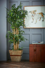 Load image into Gallery viewer, Pendleton large cowhide planter/wastepaper bin